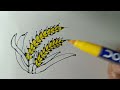 How to draw wheat 🌾 | easy drawing | step by step for beginners and kids |