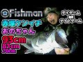 【Fishman】赤塚ケンイチ/小野智恵美シーバス釣りやってみた#18