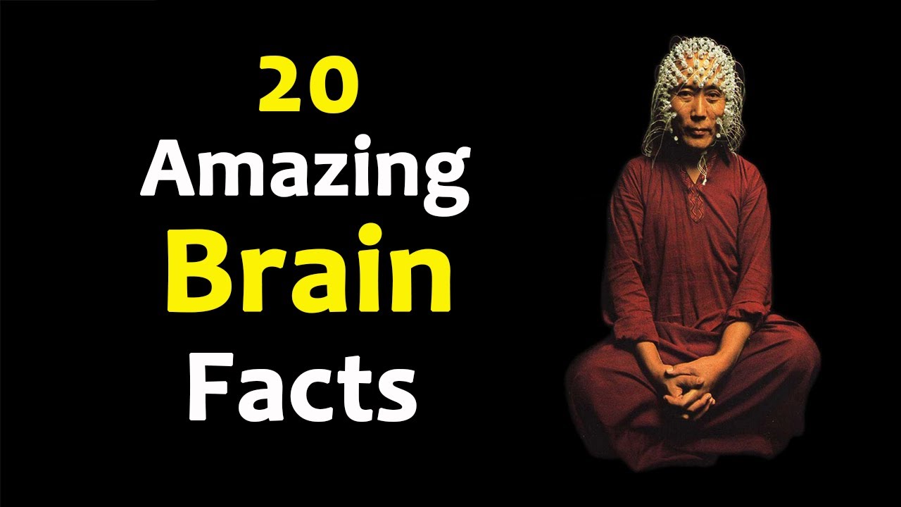 20 AMAZING BRAIN FACTS TO BLOW YOUR MIND - YouTube