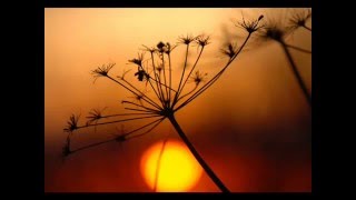 Обложка Gayatri Mantra By Deva Premal Скачать Gayatri Mantra By Deva Premal
