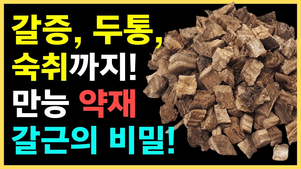갈근의 놀라운 효능과 활용법! 건강한 삶을 위한 칡뿌리의 모든 것#갈근 #칡뿌리 #한의학 #전통약재 #건강정보 #자연치유 ...