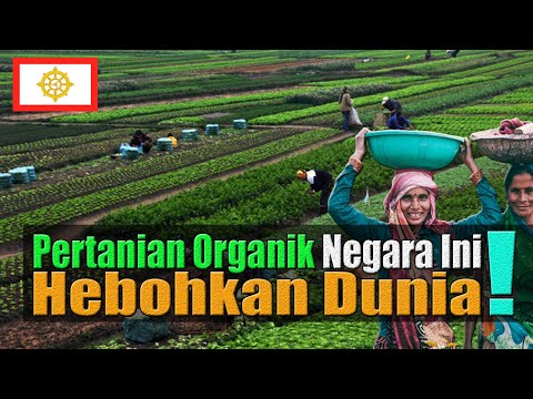 Video: Pupuk untuk kebun: mendukung pertanian organik