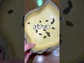 砂にエサを与えたらう◯ちしていました…のサムネイル
