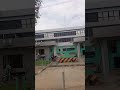 جولة في كانو البنك المركزي النيجيري فرع كانو 