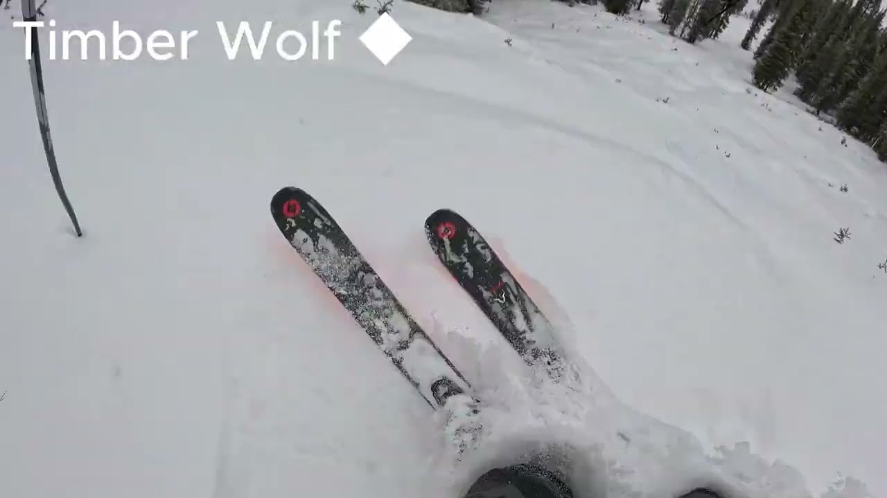 Timber Wolf; Keystone Untouched Powder