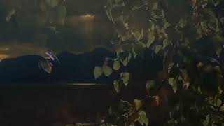 Franz Schubert: Die Gebüsche