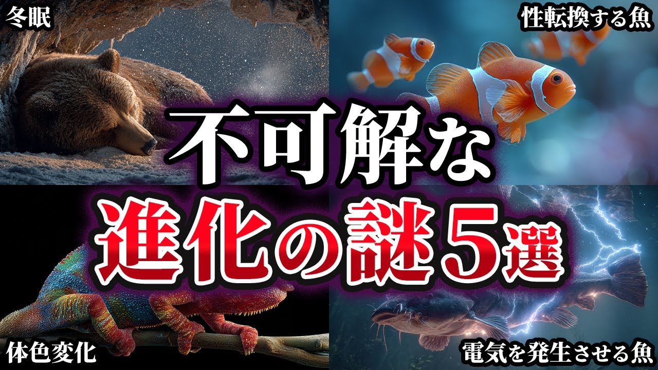 【ゆっくり解説】真相が気になる不可解な進化の謎5選