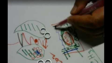 11th Kids Knowledge Seekers Workshop Feb 17 2015