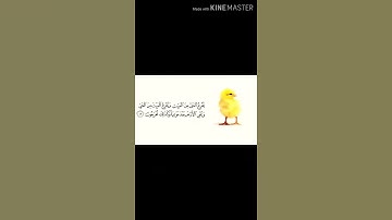 سورة الروم آية 19