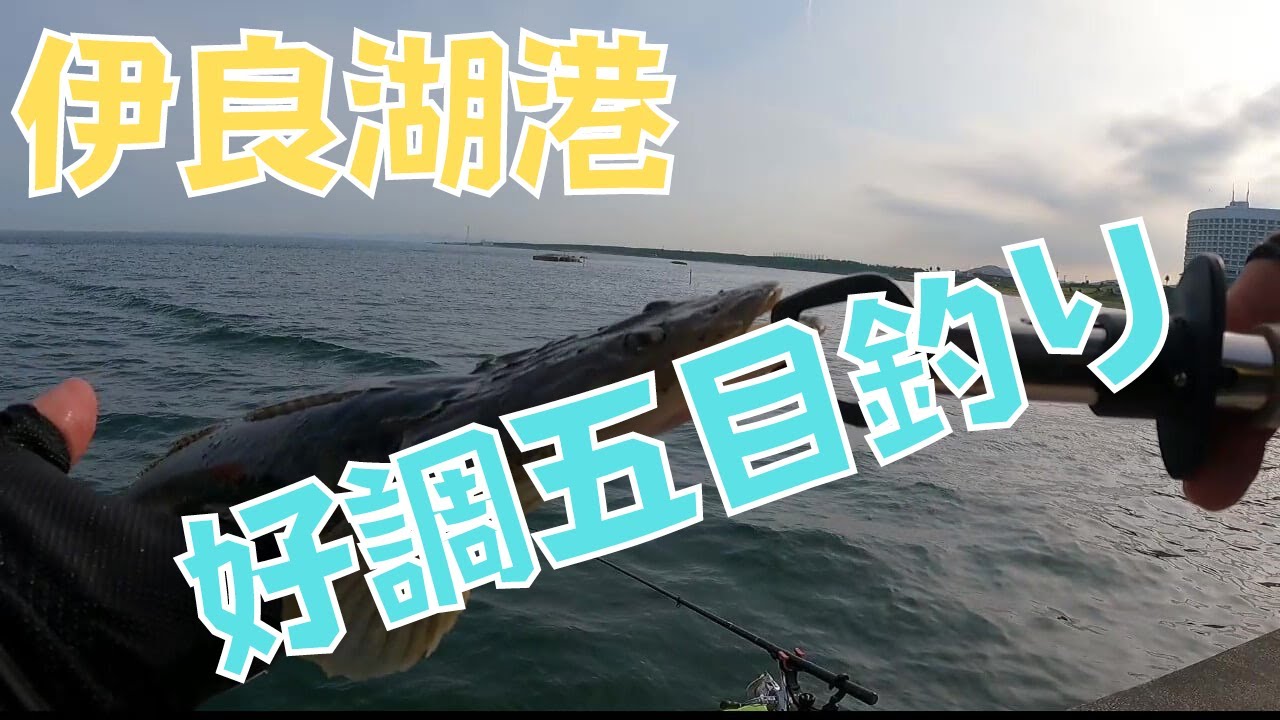 伊良湖港チョイ投げで五目釣り
