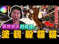 塗鴉躲貓貓! 尼克星腦動大開異於常人的躲法 會被發現嗎? ｜MECCHA CHAMELEON｜尼克星直播精華剪輯｜