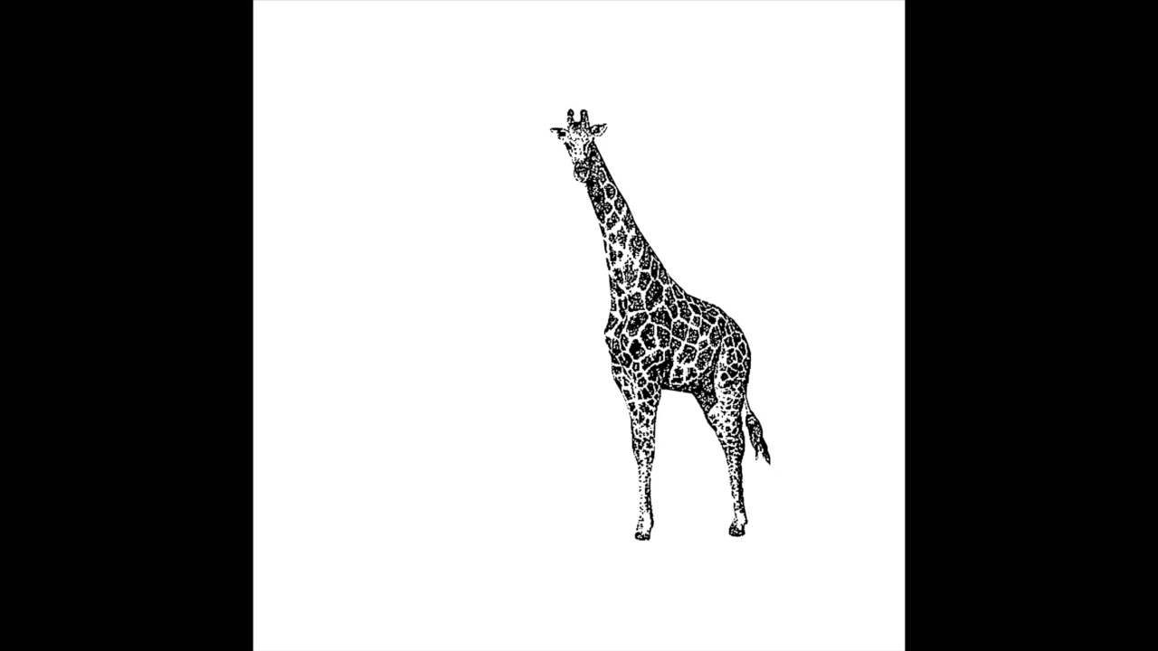 Watch giraffe - 10 on YouTube Watch giraffe - 10 on YouTube