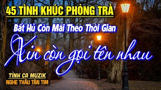 Tình Ca Muzik