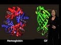 Prion Disease - Susan Lindquist (MIT/HHMI)