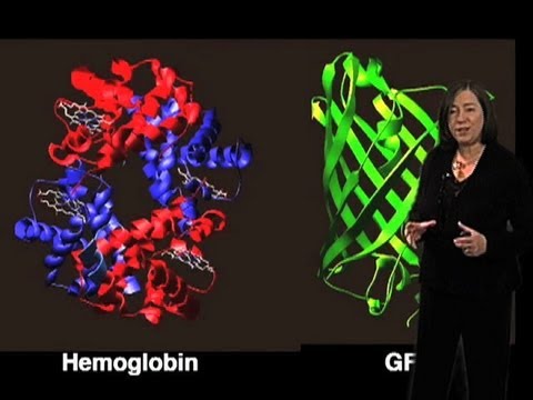 Prionsygdom - Susan Lindquist (MIT/HHMI)