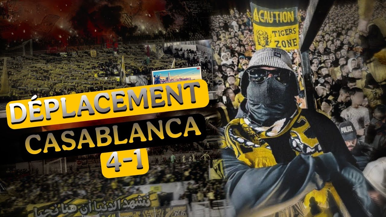 Déplacement Casablanca - Ambiance e Craquage 🔥 MAS x WAC | fatal tigers 🟡 Reaction
