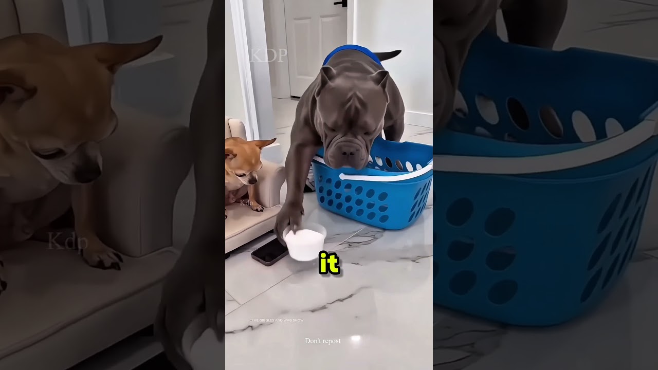 Don't eat that!😅