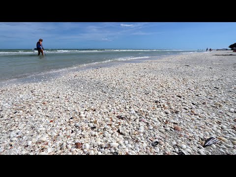 Sanibel Tide Chart 2017