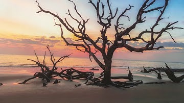 Visual Grounding Exercise