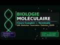 Biologie Moléculaire — Cours Complet Terminale (ADN, Réplication, CRISPR, Protéines...)