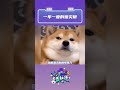 #一年一度的赈灾粮  打工人的喜事来啦！！#退税