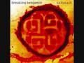 Breaking Benjamin - Natural Life