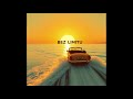 NEON RECORDS - BEZ LIMITU