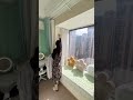 Smart Home Gadgets: The Invisible Clothesline! 👗✅