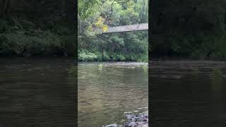 Senderismo por las fragas do Eume. #Pontedeume