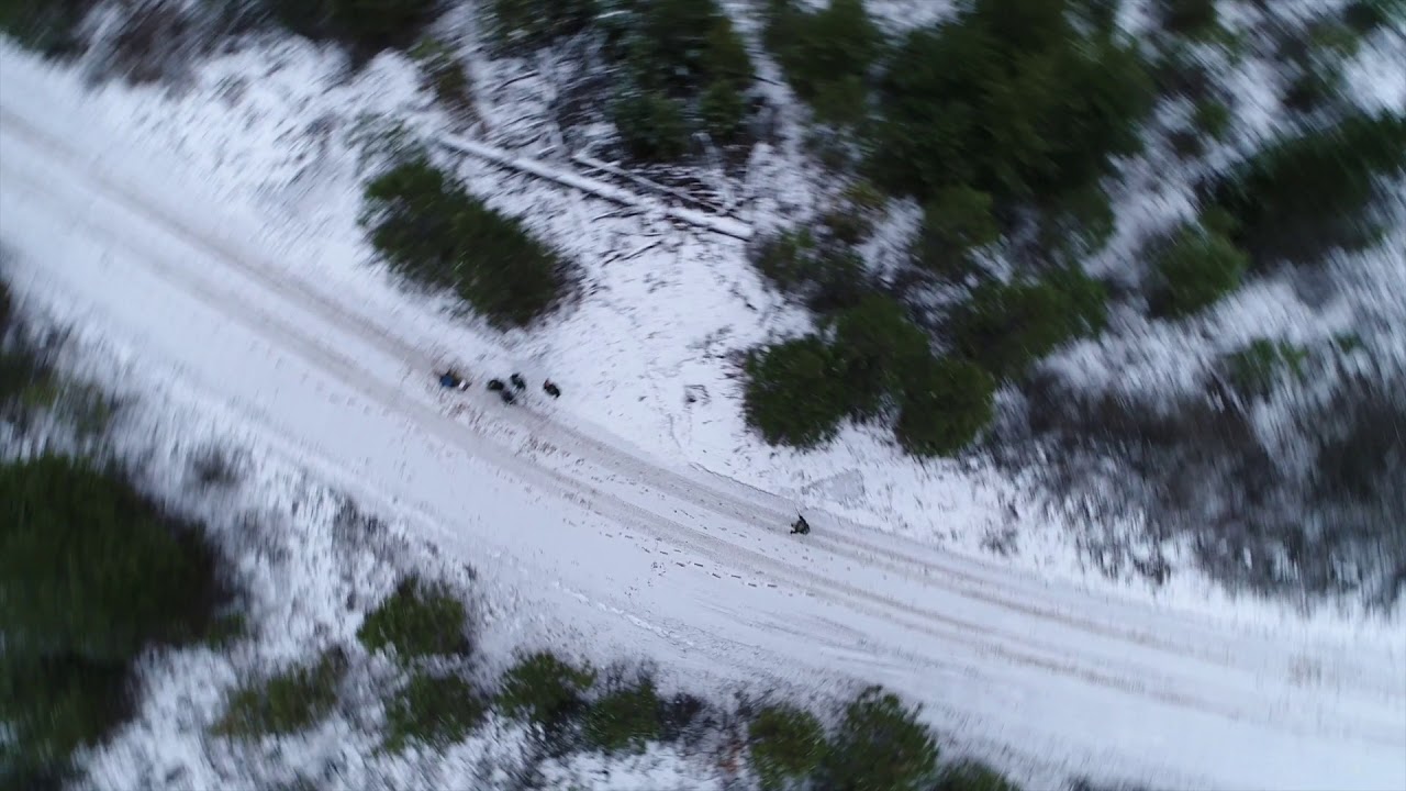 Finding Moose With Drones