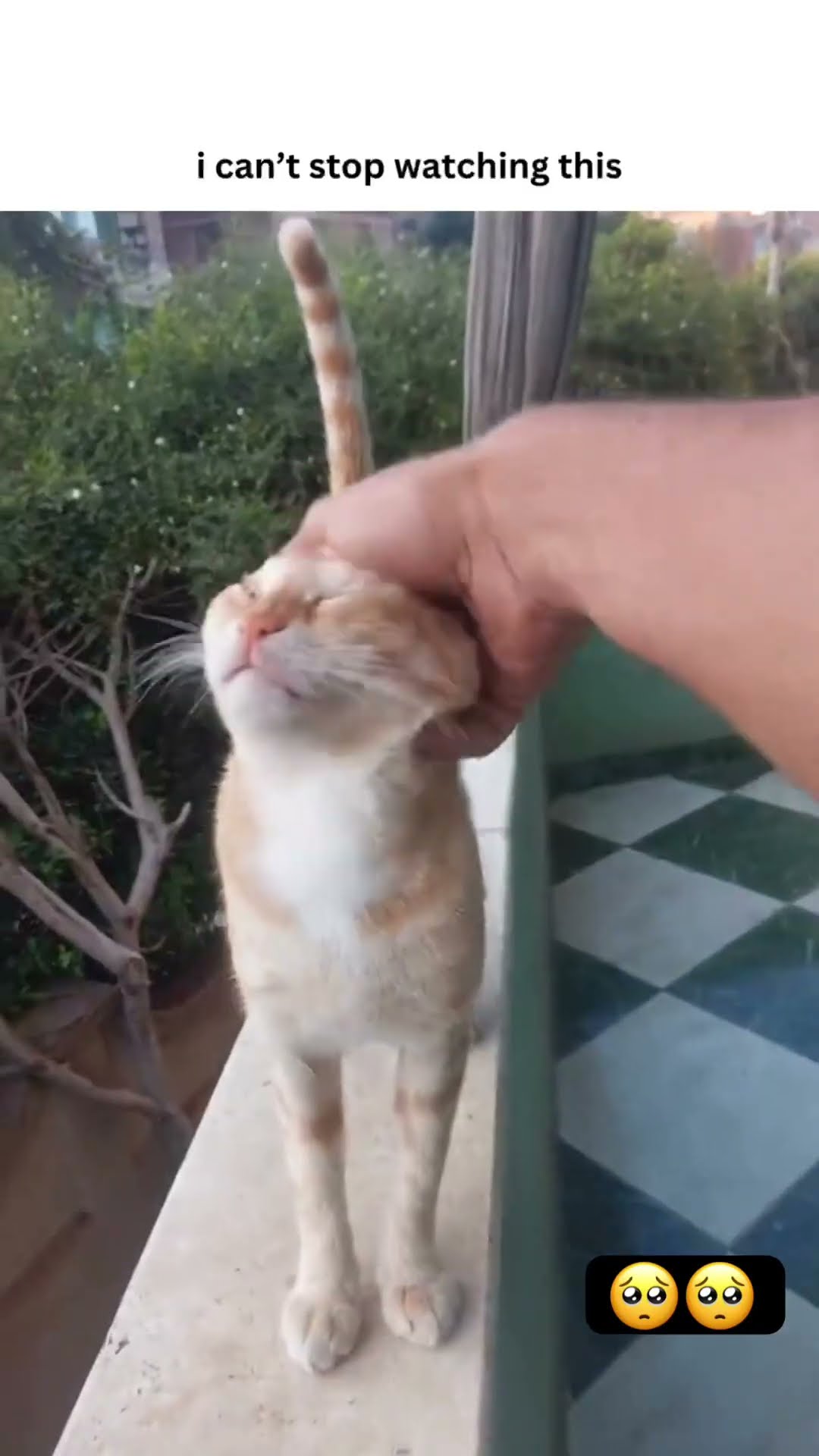 Kittyo really getting by with some aerodynamics