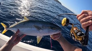 CARDUME DE OLHETES (METAL JIGGING) - Pescaria em Búzios 2026 !!!