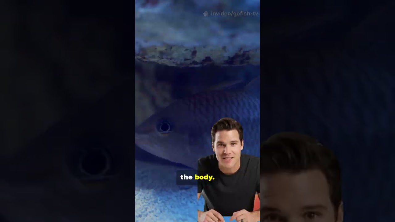 why the fish has scales
