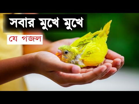 islamic-song-bangla-mp3-video-||-hajaroo-betha-bedonar-pore-||-perform-by-bulbul