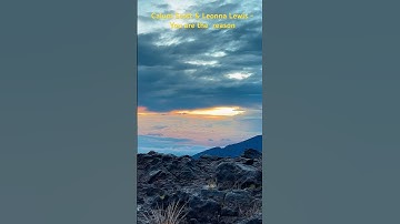 Calum Scott & Leonna Lewis - You are the reason, watch the full video soon on YouTube. #musicvideo