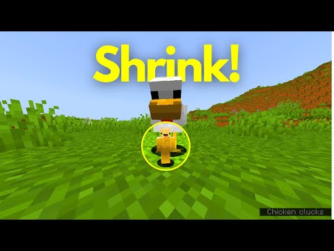 How To Shrink In Minecraft Using Commands!
