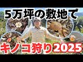 5万坪の山でキノコ狩り！森が豊かになる条件とは
