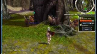 Guild Wars Vasburg Armory NPC Glitch