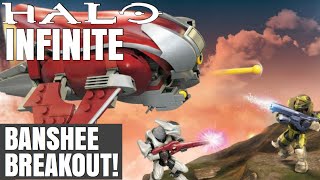 NEW Halo Infinite BANSHEE BREAKOUT set details from Mega Construx - My thoughts - GOOD!