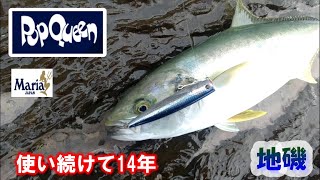 頼りになるプラグ（ポップクイーン）【ロックショアプラッキング】