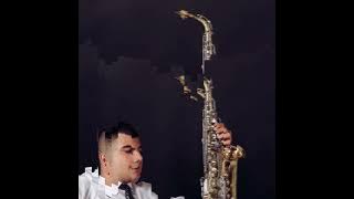 ANIVAR-Любимый человек Saxophone
