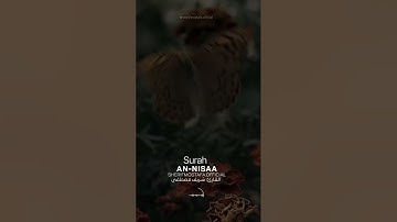 تلاوة هادئة تريح الأعصاب 😴🎧 القارئ: شريف مصطفى سورة: النساء 💙❤