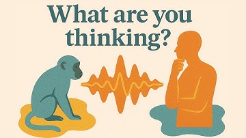 How AI Is Decoding The Languages Of Animals