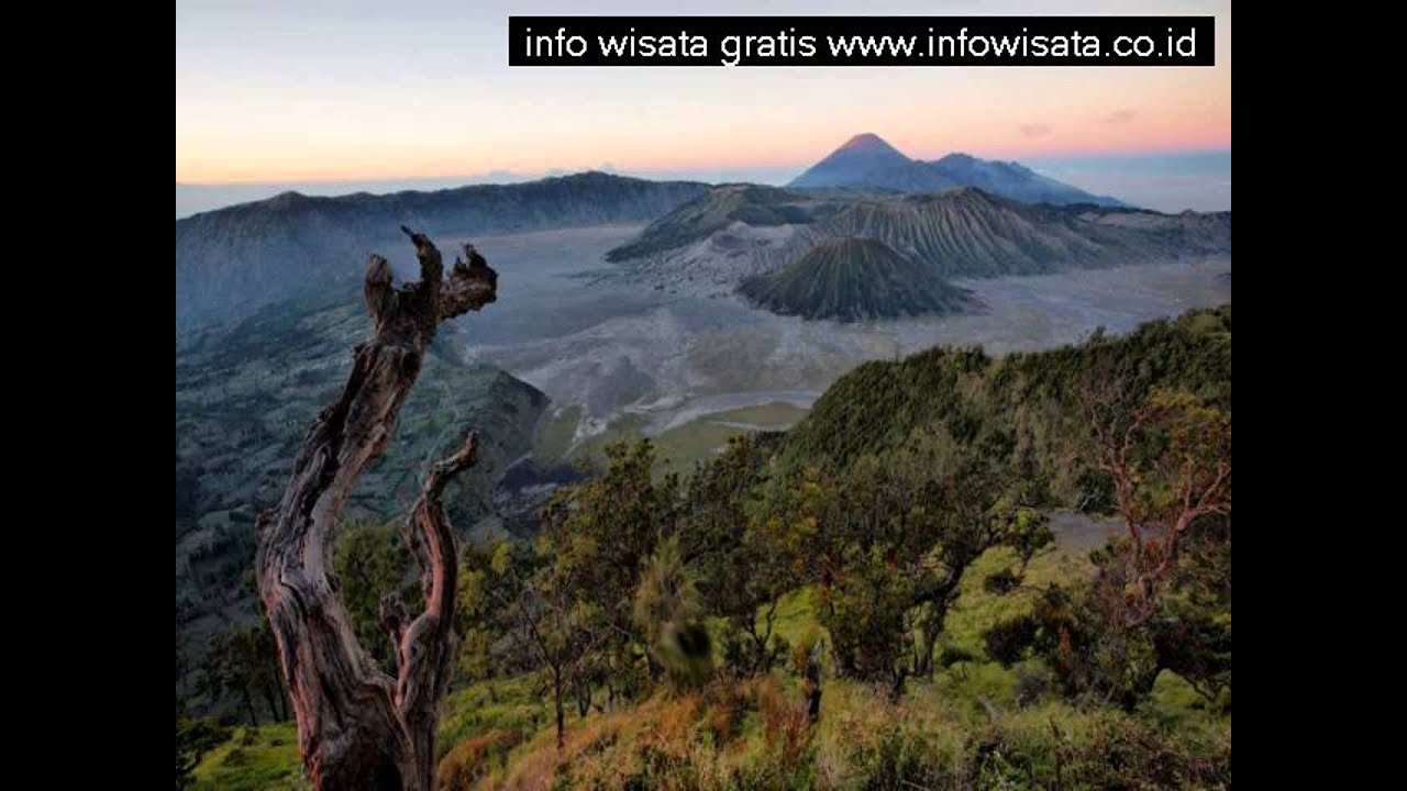 3 Tempat Wisata Romantis Di Bogor Cocok Untuk Bulan Madu 3 Tempat Wisata Romantis Di Bogor Cocok Untuk Bulan Madu