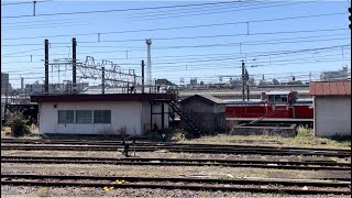【宇都宮配給(復路)の運転準備に伴う尾久構内入換作業】国鉄DE10形1603号機+国鉄ホキ800形2両(オホキ1875,ホキ1805)が建屋裏を発車するシーン(2024.4.10.10:55)