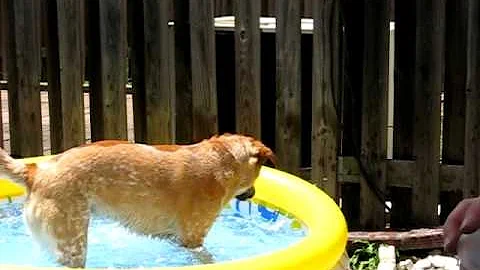 Angie & Layla in the pool