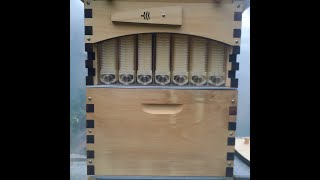 Whats in a Flow Hive Kit? Unboxing