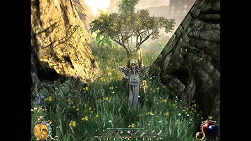 Two worlds 2 Graphics Test