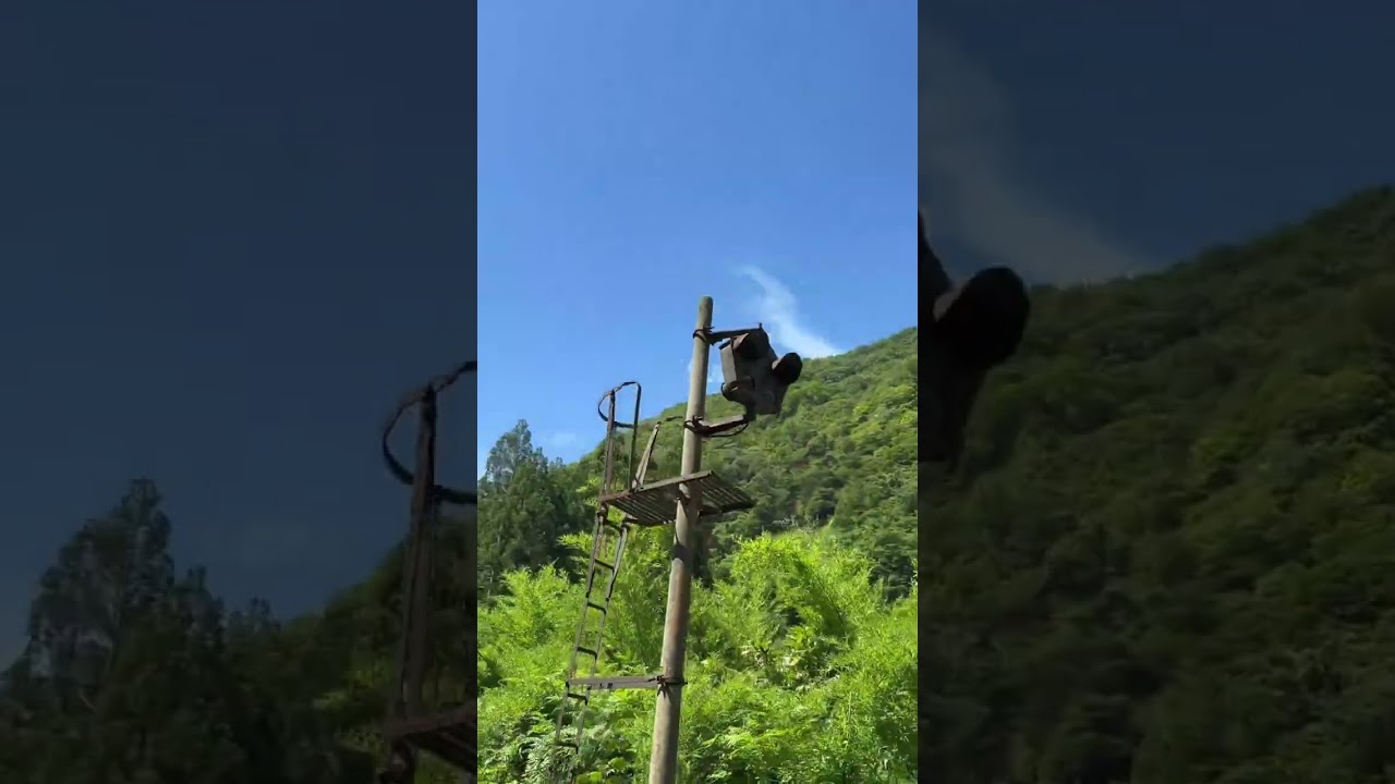 🚂✨ Secret Japan Adventure: Cycling on Train Tracks in Gifu! Ravine Course is STUNNING! 