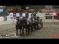 2026 Cascades Futurity Presents: 9/11 Tribute